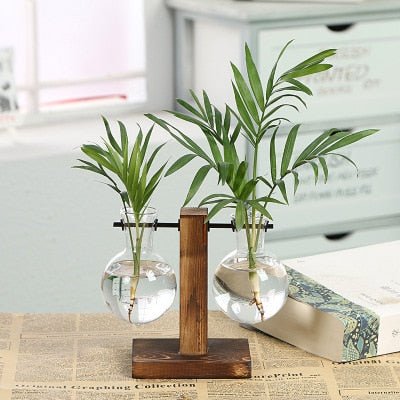 Hydroponic Transparent Plant Vases - East Pass Shopping Store