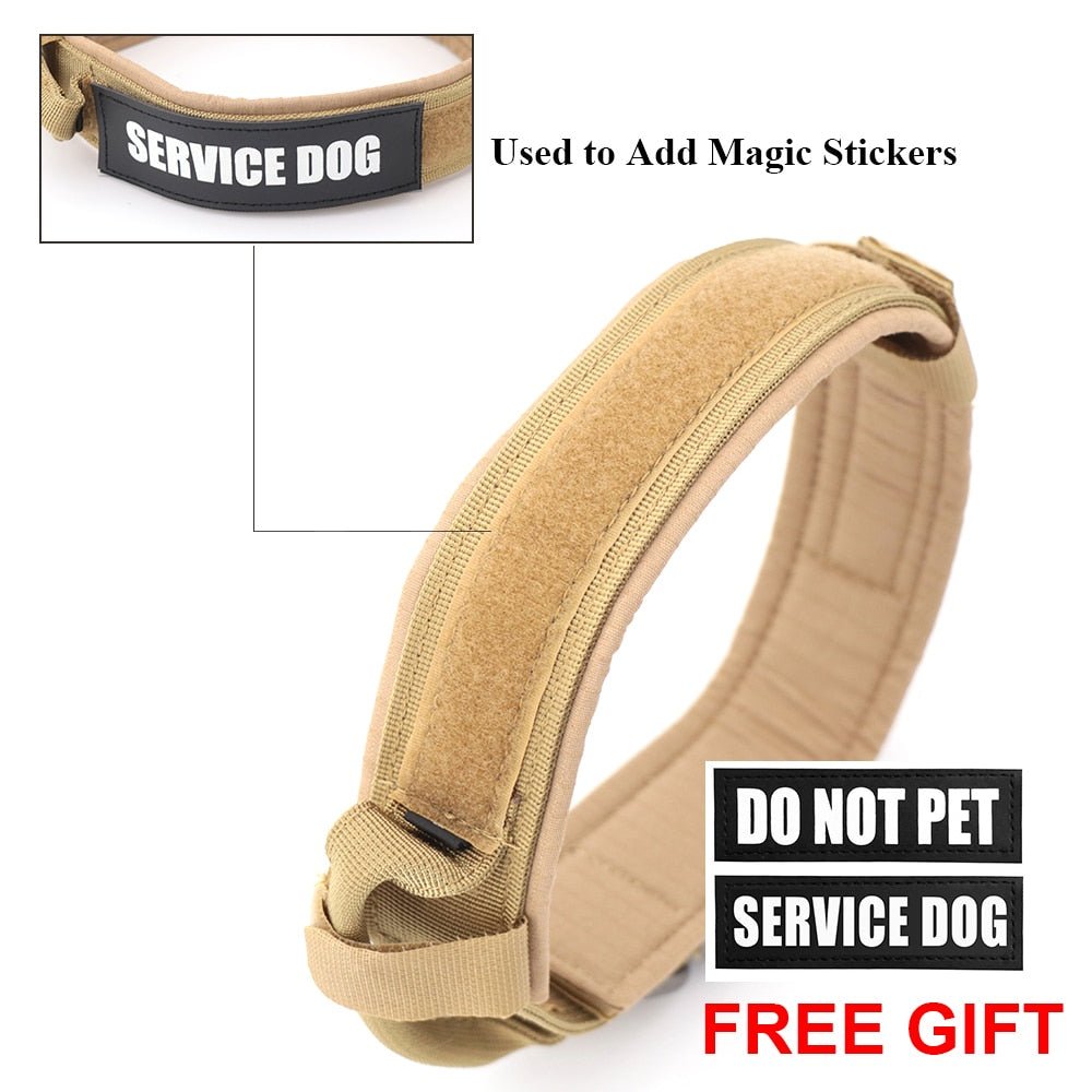 Dog Collar - East Pass Shopping Store