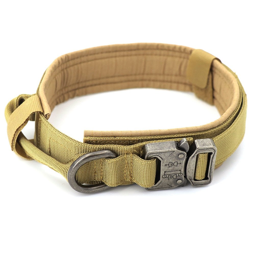 Dog Collar - East Pass Shopping Store