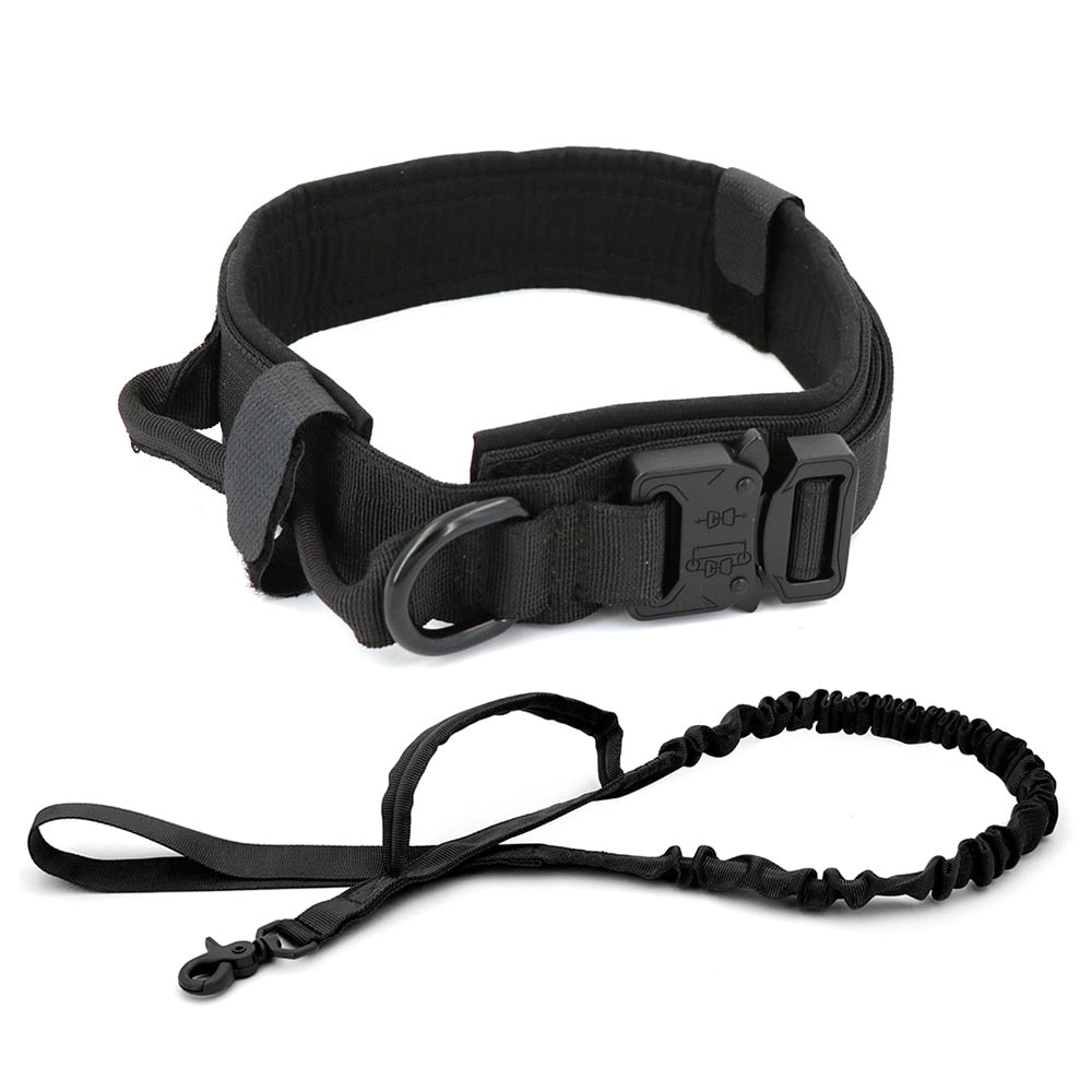 Dog Collar - East Pass Shopping Store