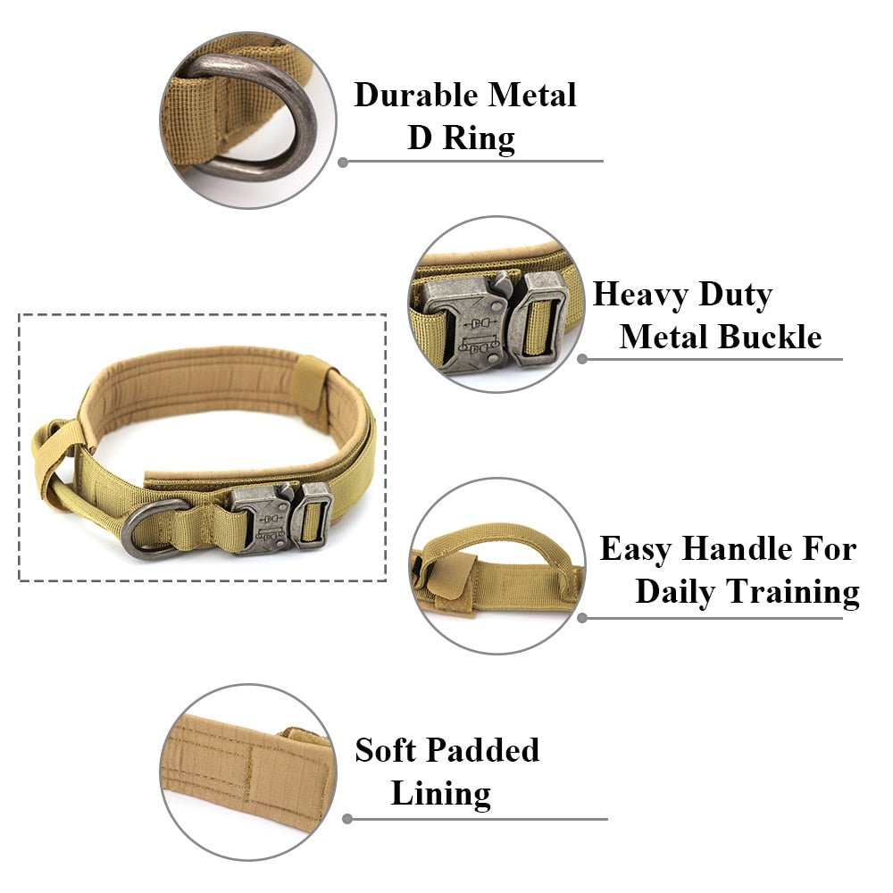 Dog Collar - East Pass Shopping Store
