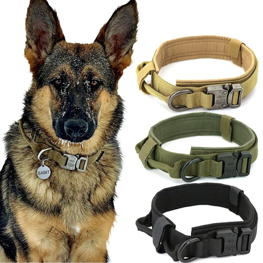 Dog Collar - East Pass Shopping Store