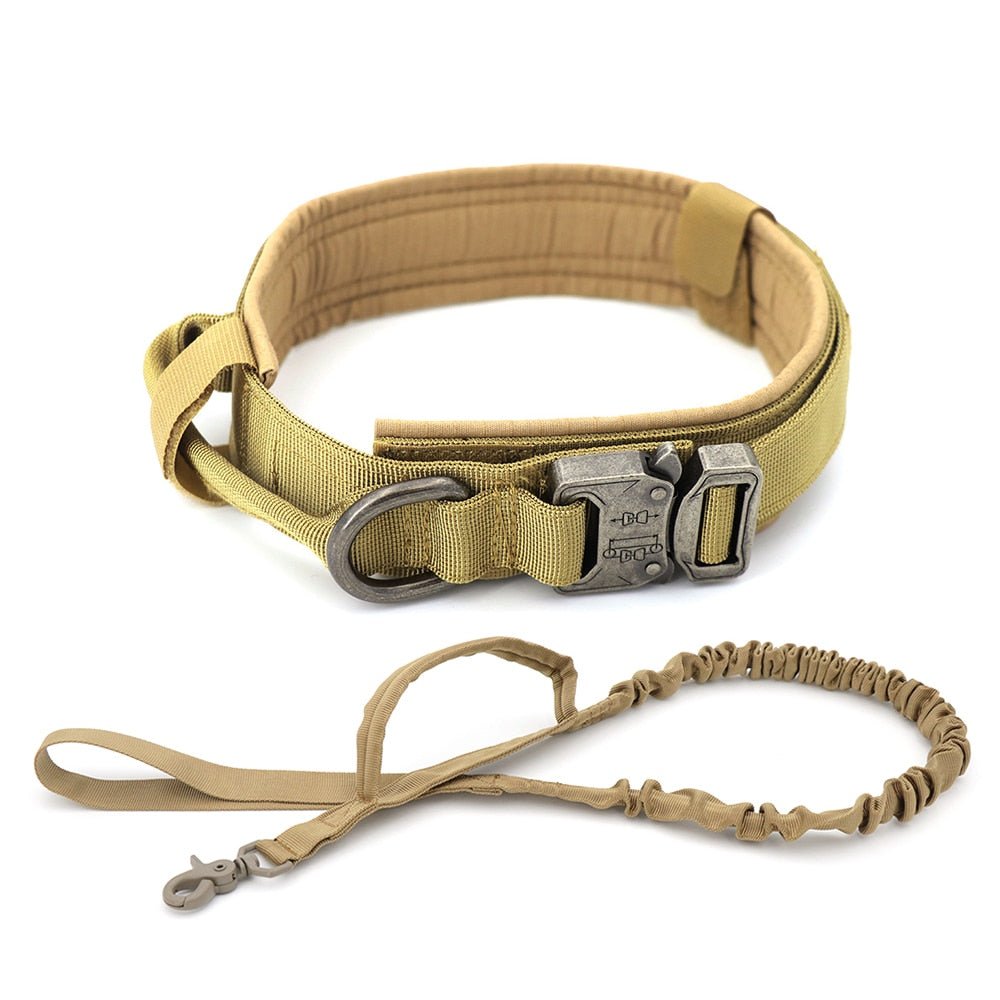 Dog Collar - East Pass Shopping Store