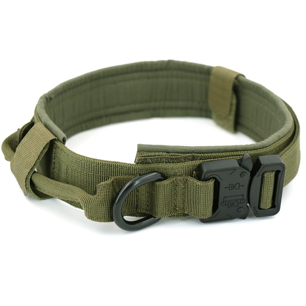 Dog Collar - East Pass Shopping Store