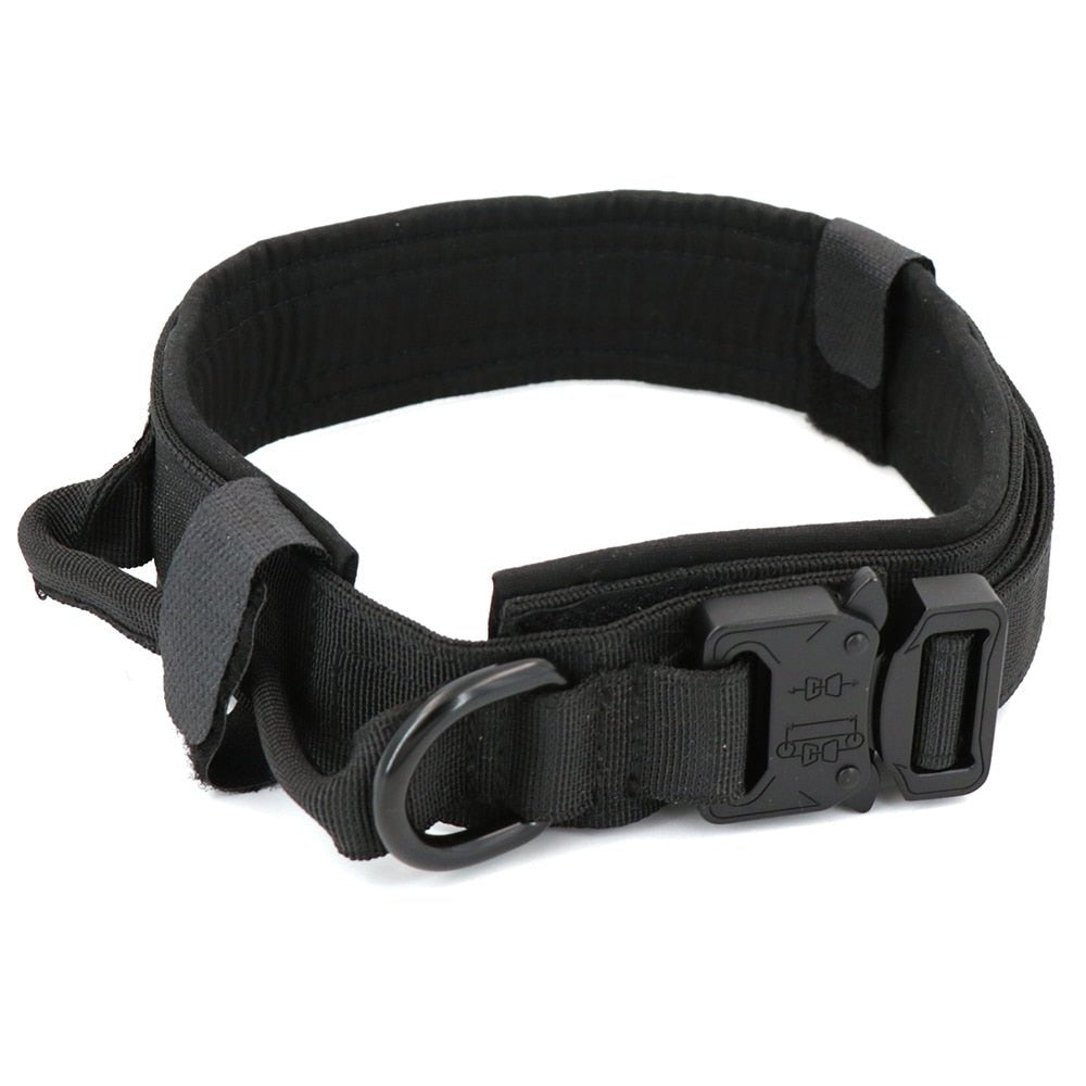 Dog Collar - East Pass Shopping Store
