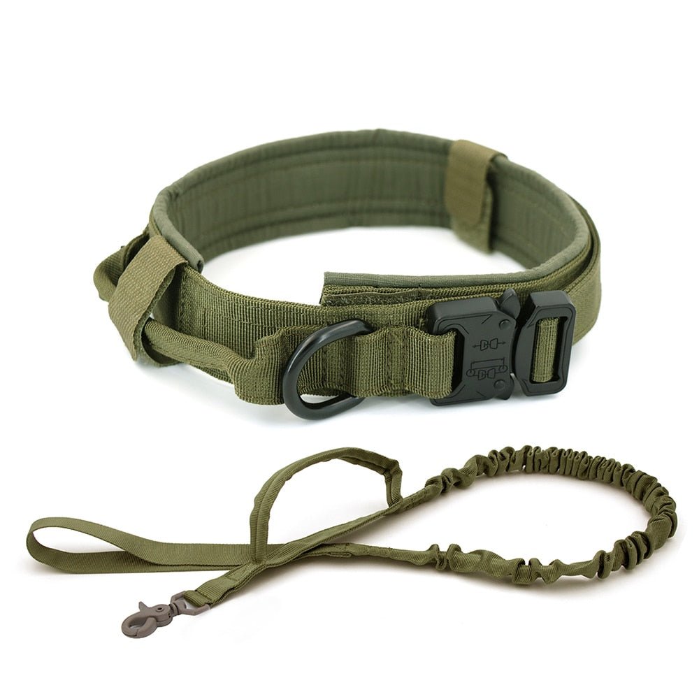 Dog Collar - East Pass Shopping Store