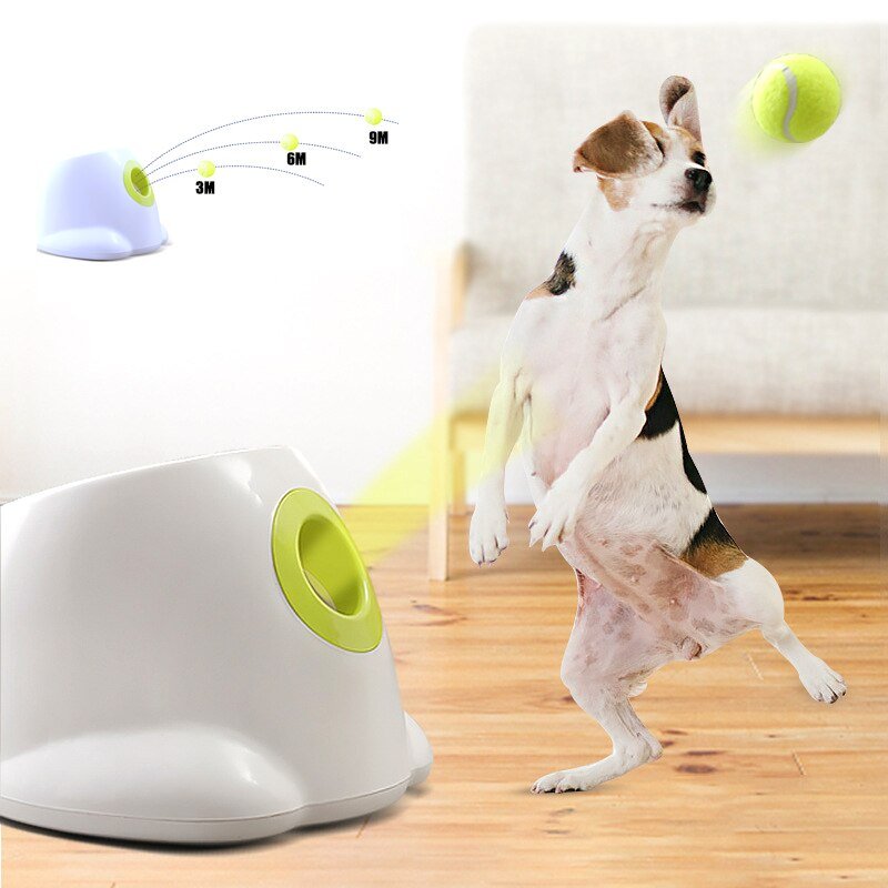 Dog pet Tennis Launcher - East Pass Shopping Store