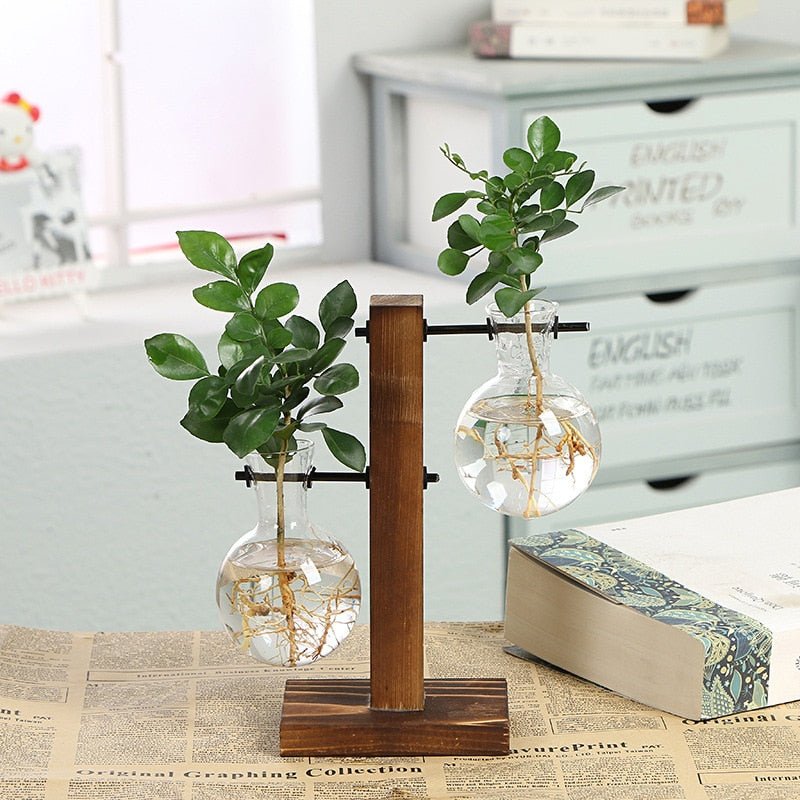 Hydroponic Transparent Plant Vases - East Pass Shopping Store