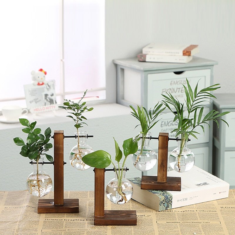 Hydroponic Transparent Plant Vases - East Pass Shopping Store