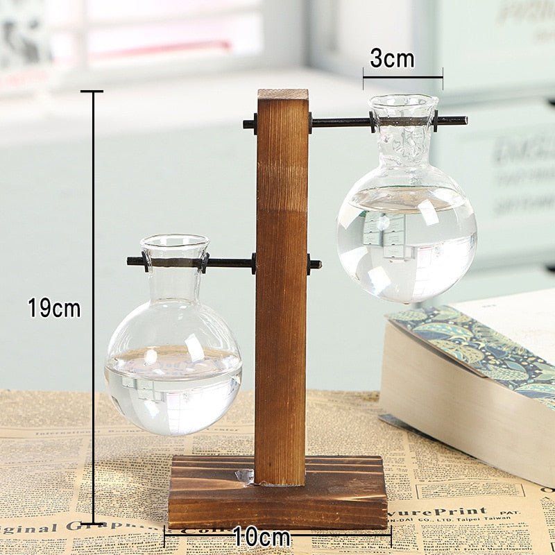 Hydroponic Transparent Plant Vases - East Pass Shopping Store
