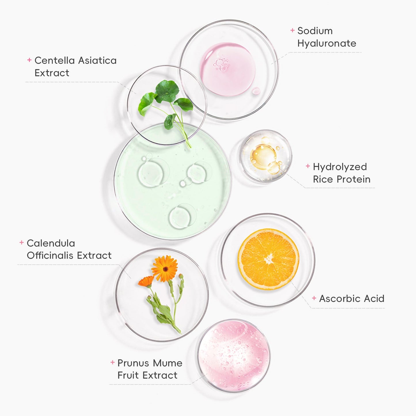 Protective Makeup Primer for Smooth, Hydrated Skin - East Pass Shopping Store