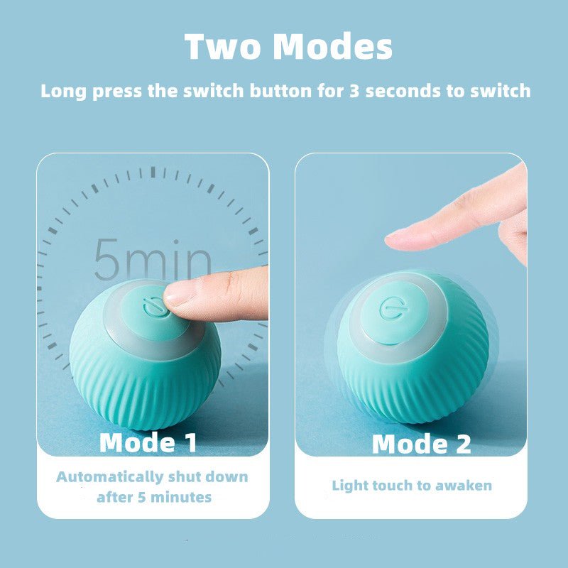 Smart Cat Ball Toys - East Pass Shopping Store
