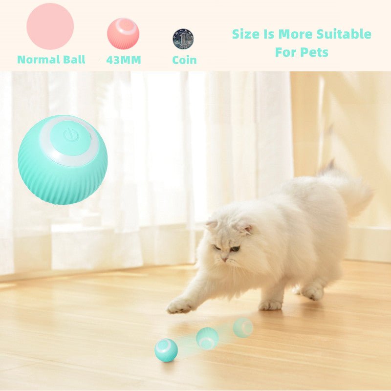Smart Cat Ball Toys - East Pass Shopping Store