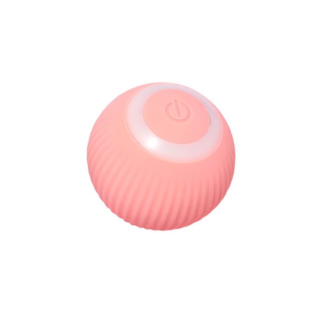 Smart Cat Ball Toys - East Pass Shopping Store