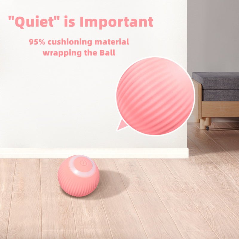 Smart Cat Ball Toys - East Pass Shopping Store