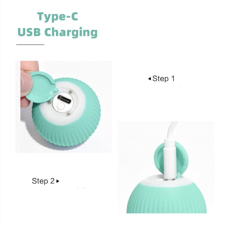 Smart Cat Ball Toys - East Pass Shopping Store