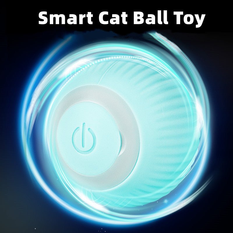 Smart Cat Ball Toys - East Pass Shopping Store