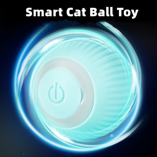 Smart Cat Ball Toys - East Pass Shopping Store