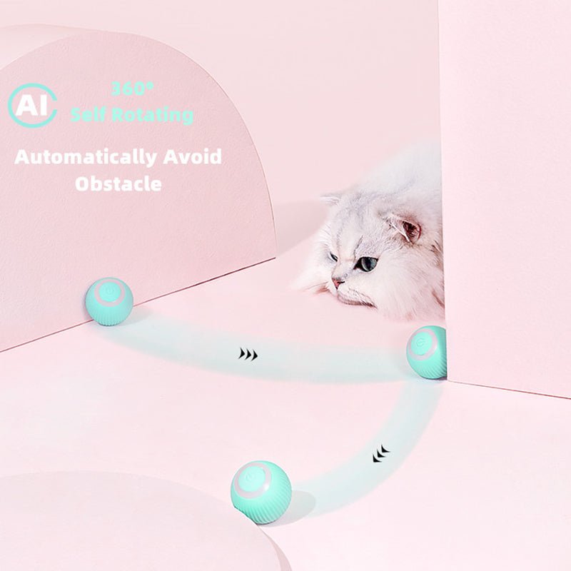 Smart Cat Ball Toys - East Pass Shopping Store