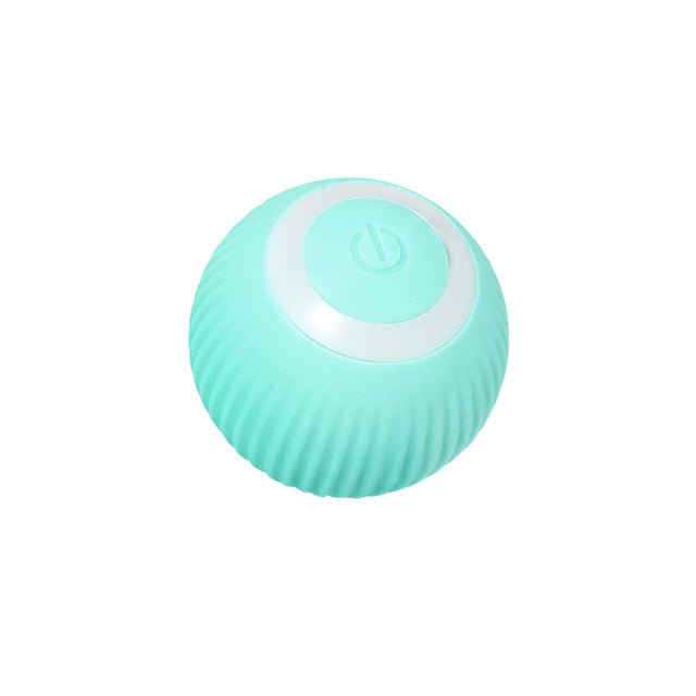 Smart Cat Ball Toys - East Pass Shopping Store